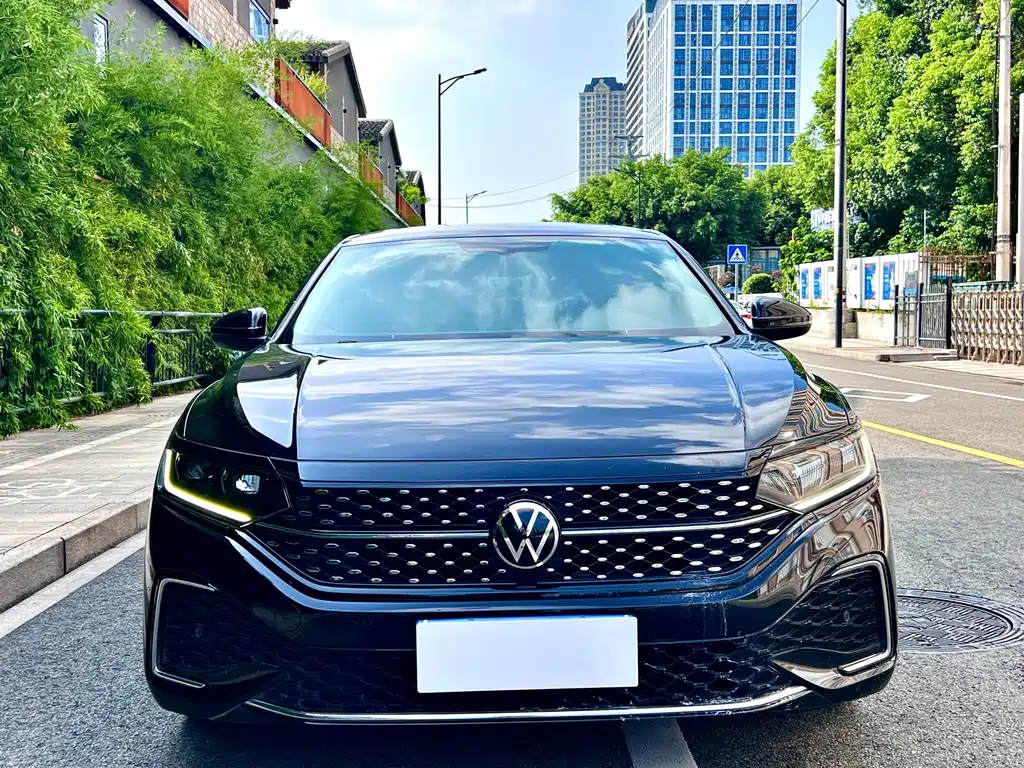 Volkswagen Passat — миниатюра 2