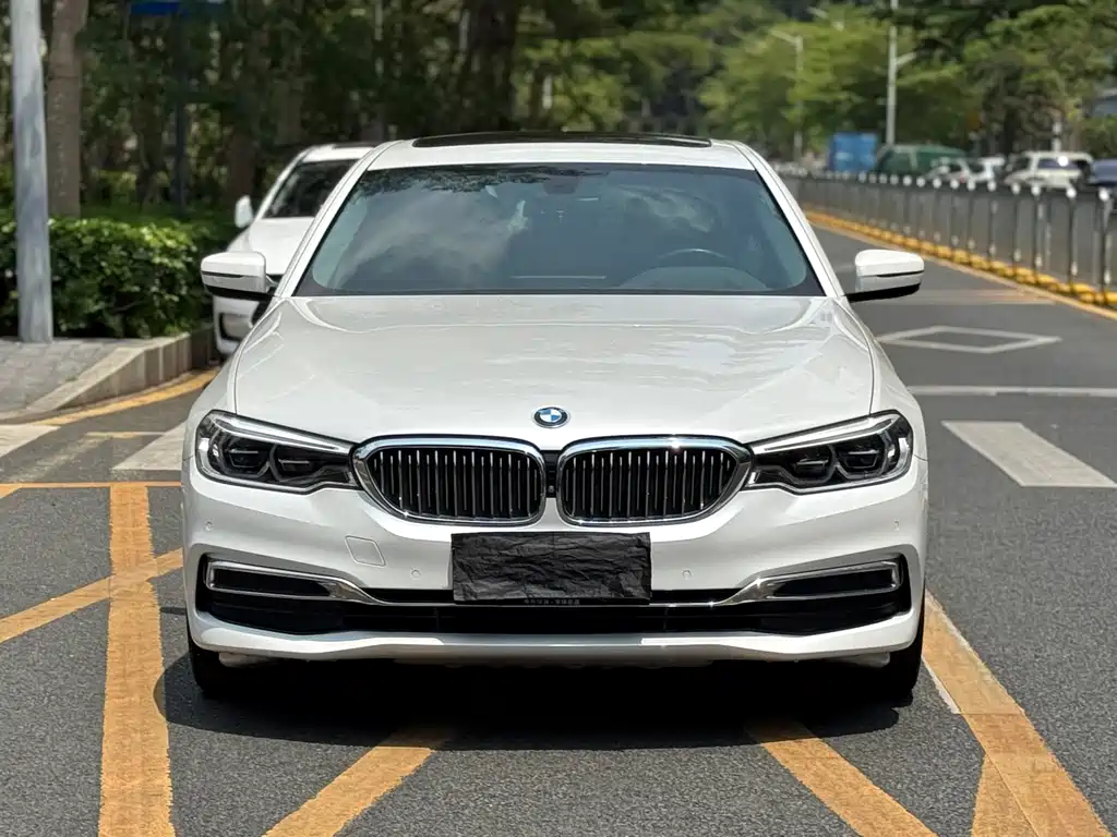 BMW 5 Series 5 2020 530Li Premium Luxury