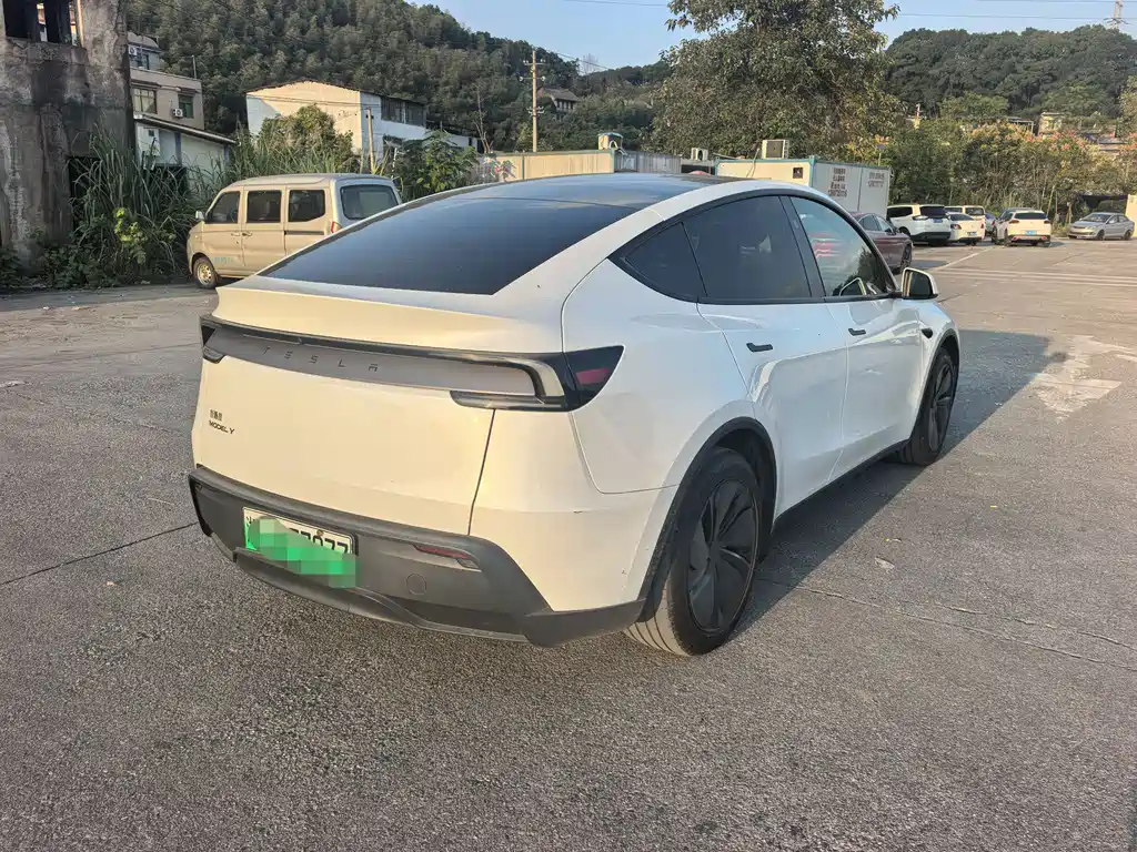 Tesla Model Y — миниатюра 7