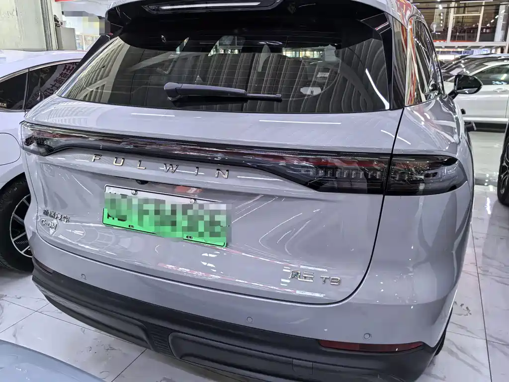 Fulwin Fengyun T9 — миниатюра 5
