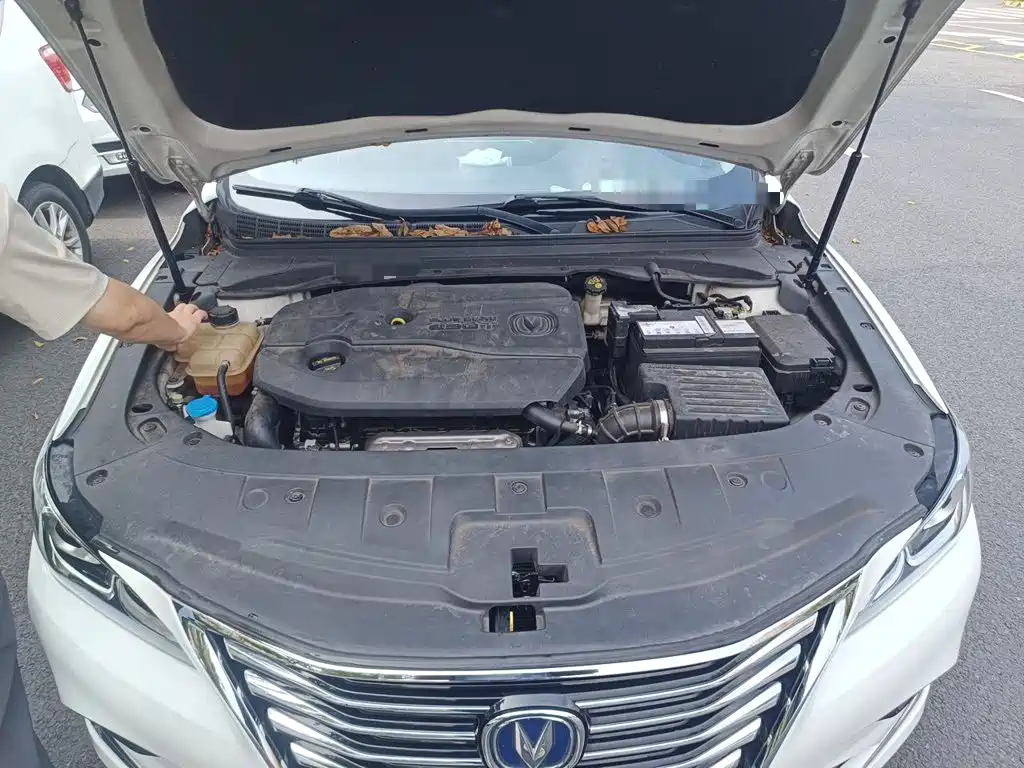 Changan Ruicheng CC — миниатюра 16