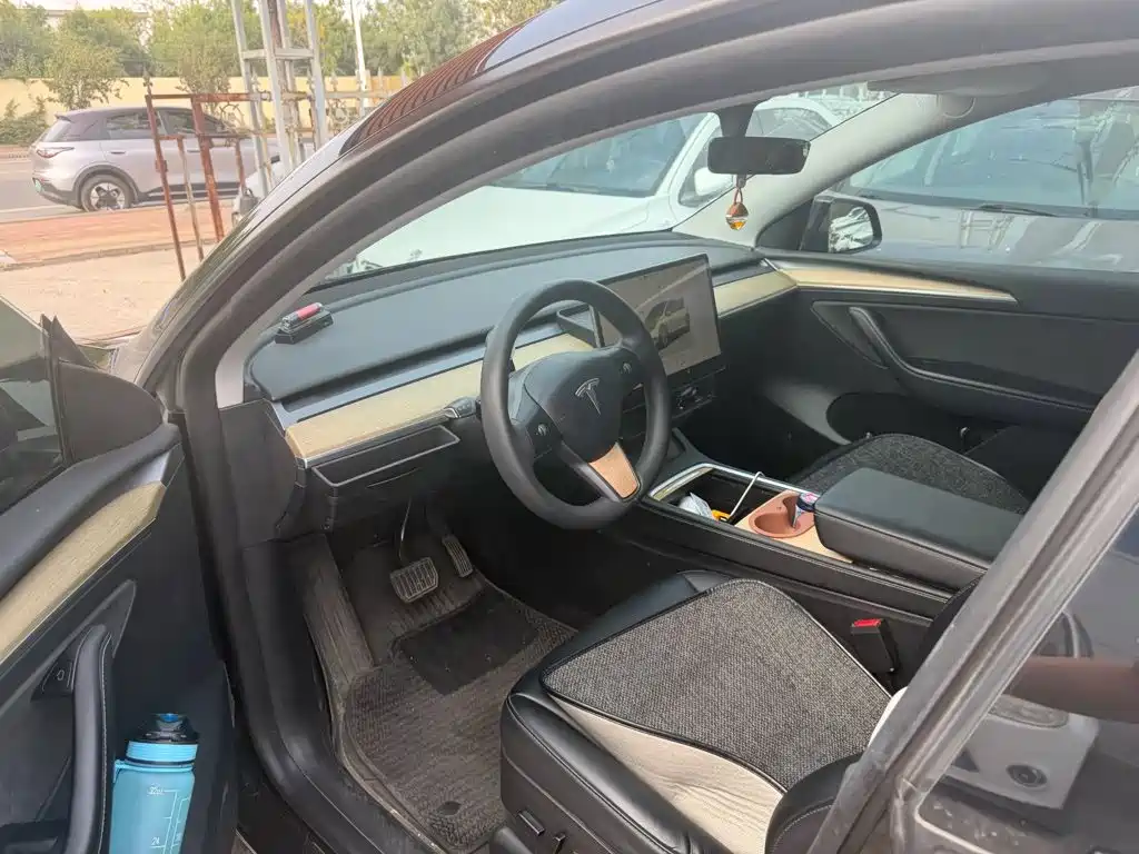 Tesla Model Y — миниатюра 4