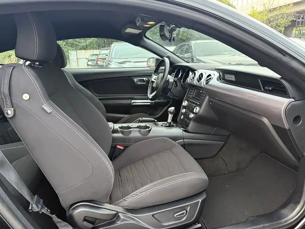 Ford Mustang — миниатюра 7