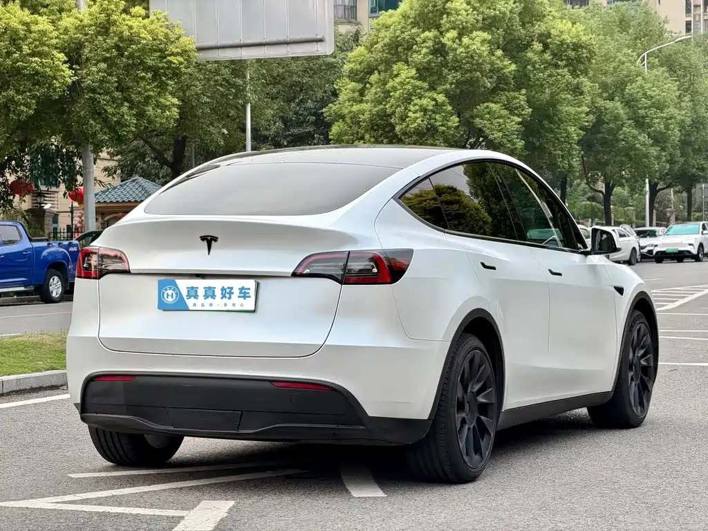 Tesla Model Y — миниатюра 4