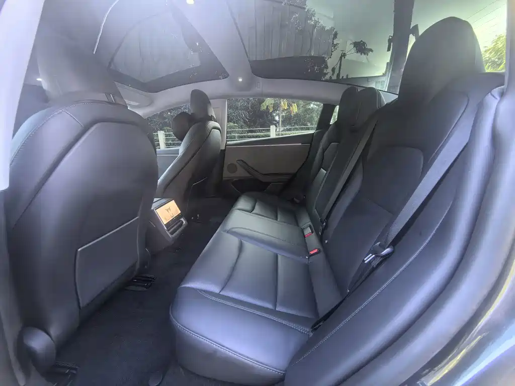 Tesla Model 3 — миниатюра 6