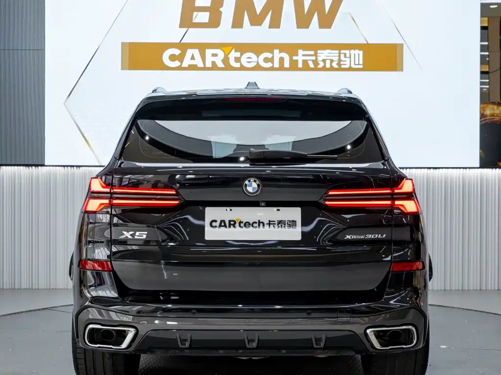 BMW X5 — миниатюра 7