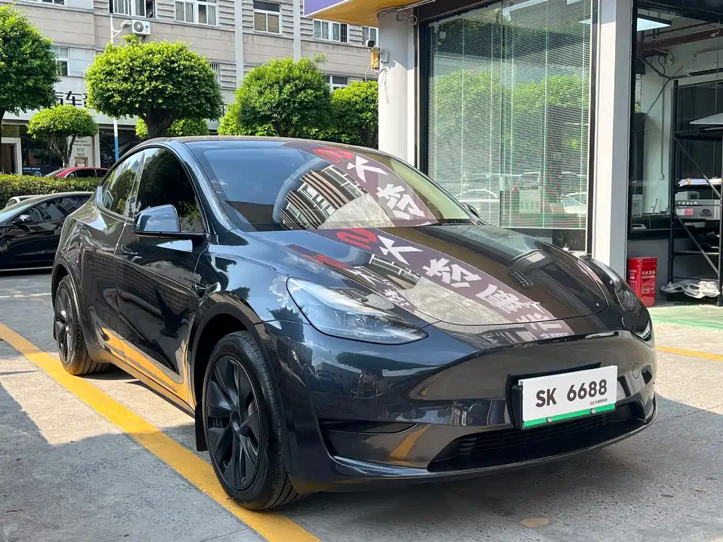 Tesla Model Y — миниатюра 3