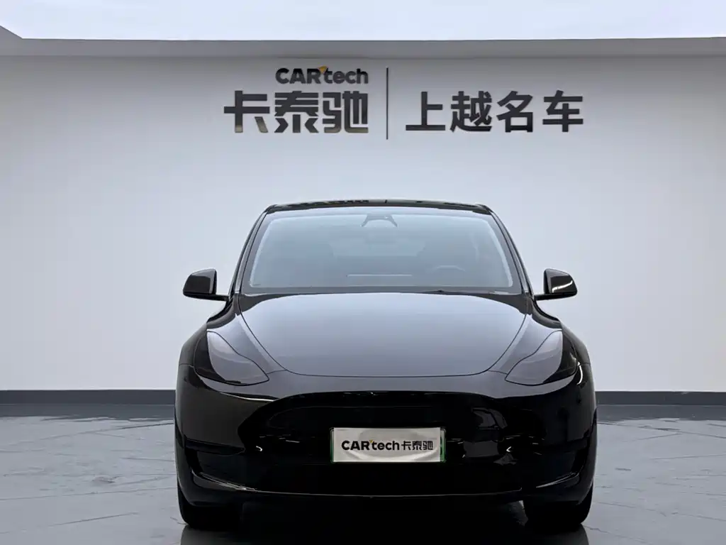 Tesla Model Y — миниатюра 7