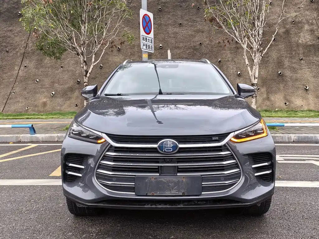 BYD Tang New Energy — миниатюра 2