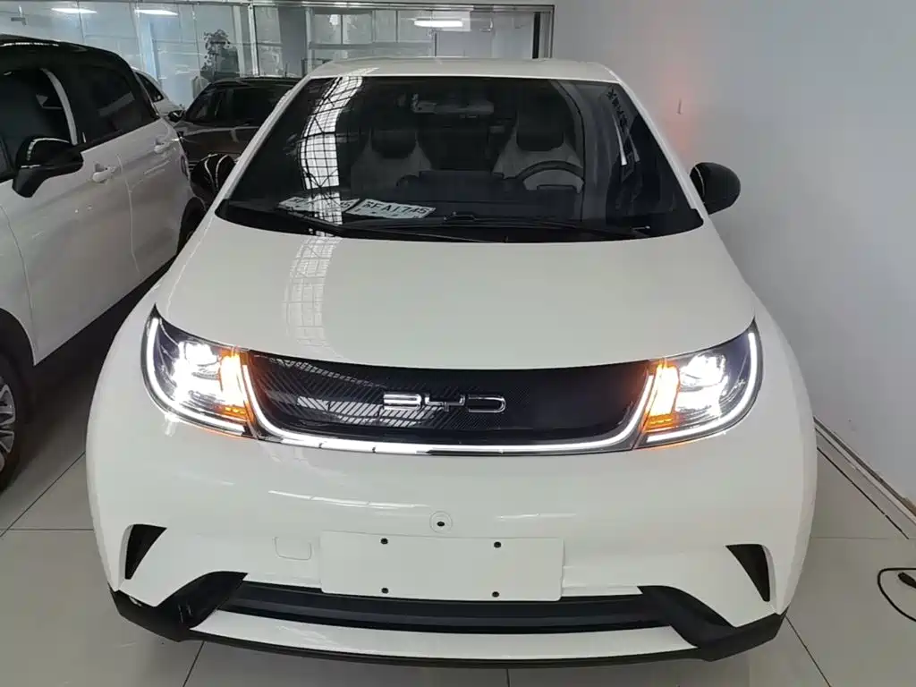 BYD Dolphin — миниатюра 3