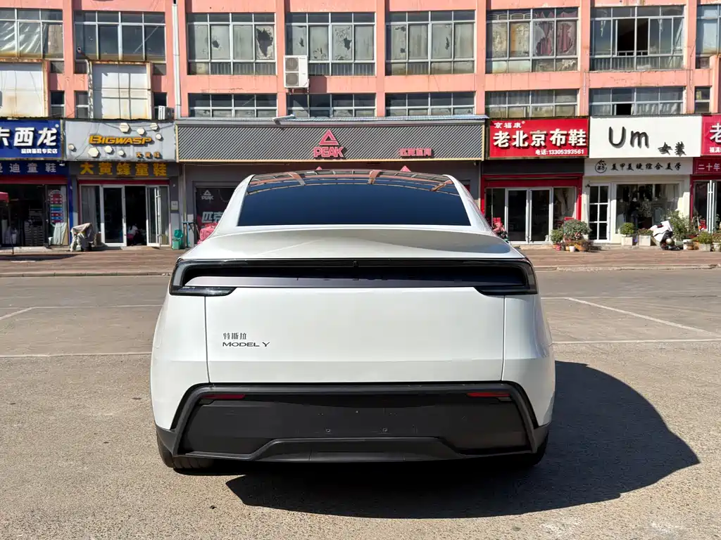 Tesla Model Y — миниатюра 4