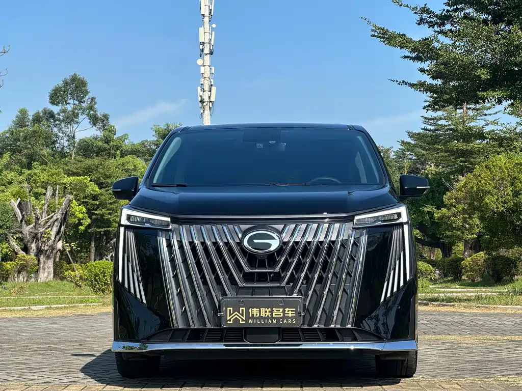 GAC Motor Trumpchi M8 — миниатюра 2