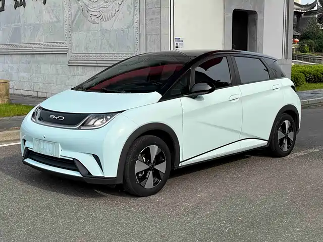 2023 BYD Dolphin