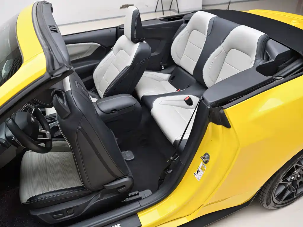 Ford Mustang — миниатюра 16