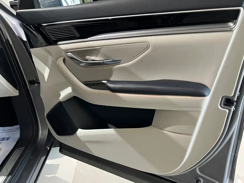 BYD PLUS New Energy — миниатюра 15