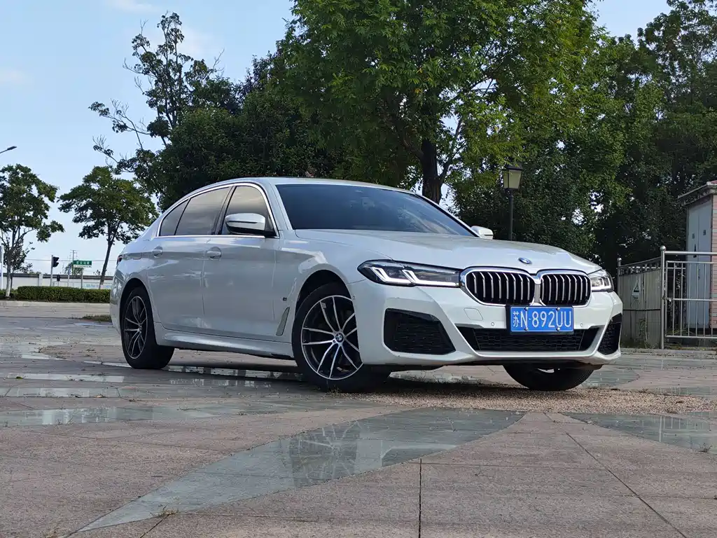 BMW 5 Series — миниатюра 3