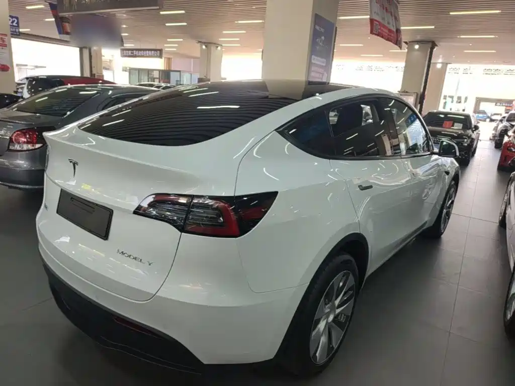 Tesla Model Y — миниатюра 7