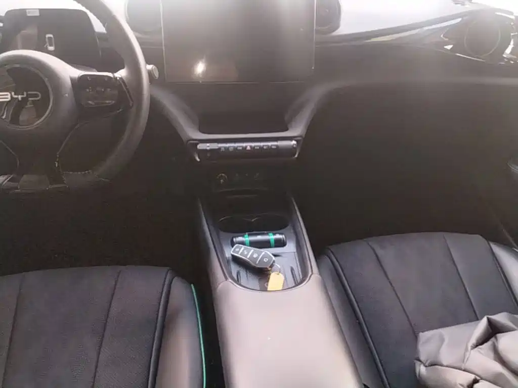BYD Dolphin — миниатюра 14