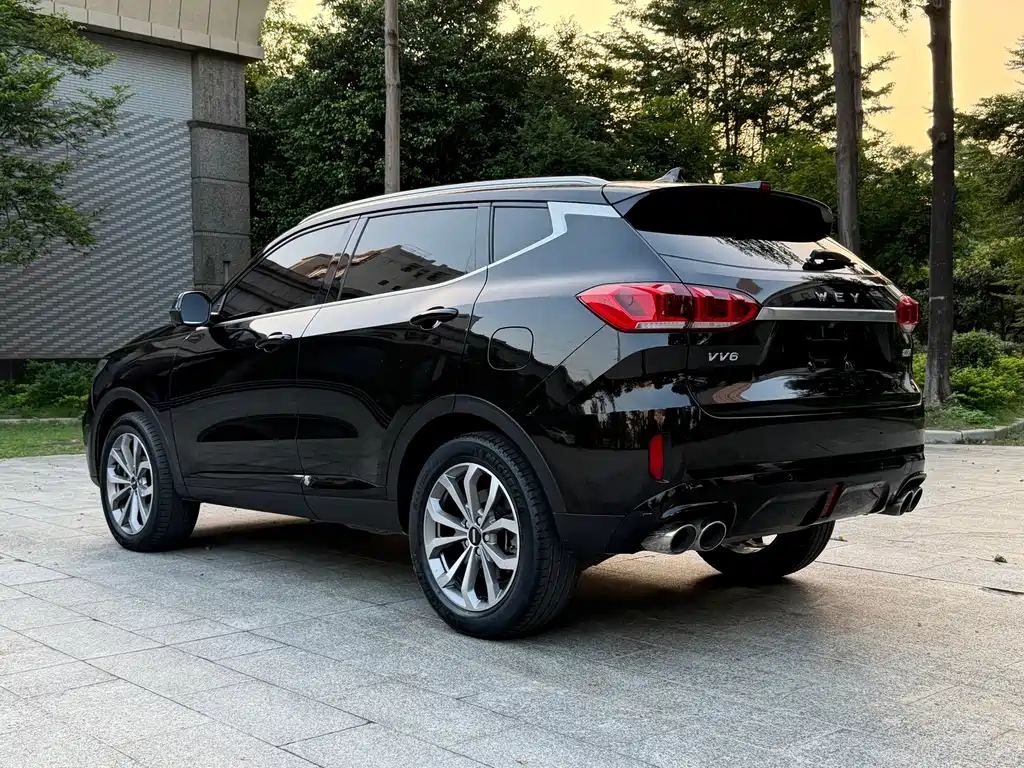 Wey Wey VV6 — миниатюра 14