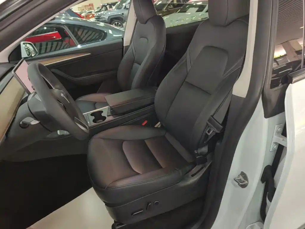 Tesla Model Y — миниатюра 15