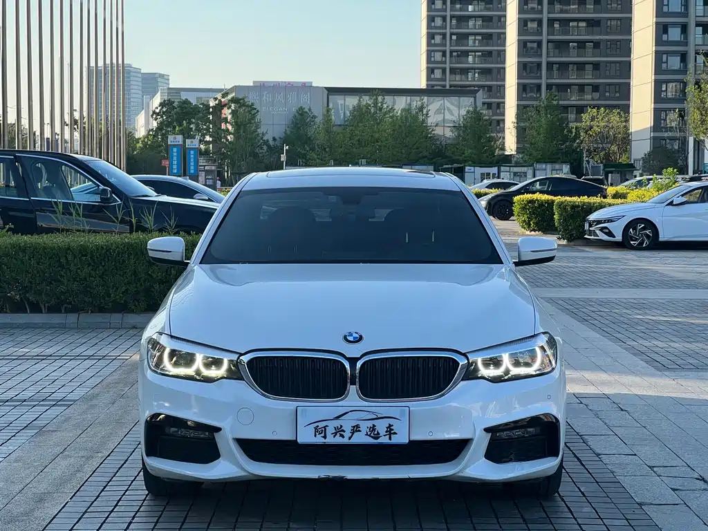 BMW 5 Series 5 2019 530Li Lead M Sport