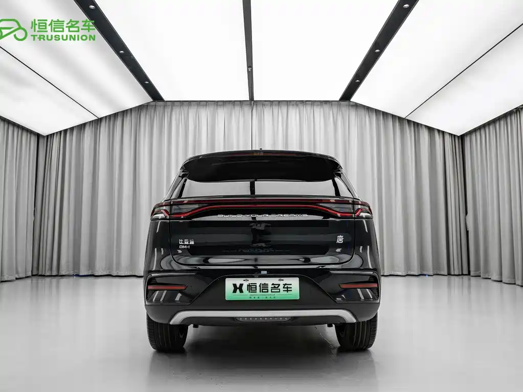 BYD Tang New Energy — миниатюра 5