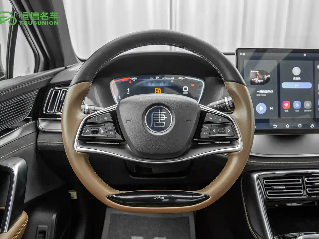 BYD Tang New Energy — миниатюра 17