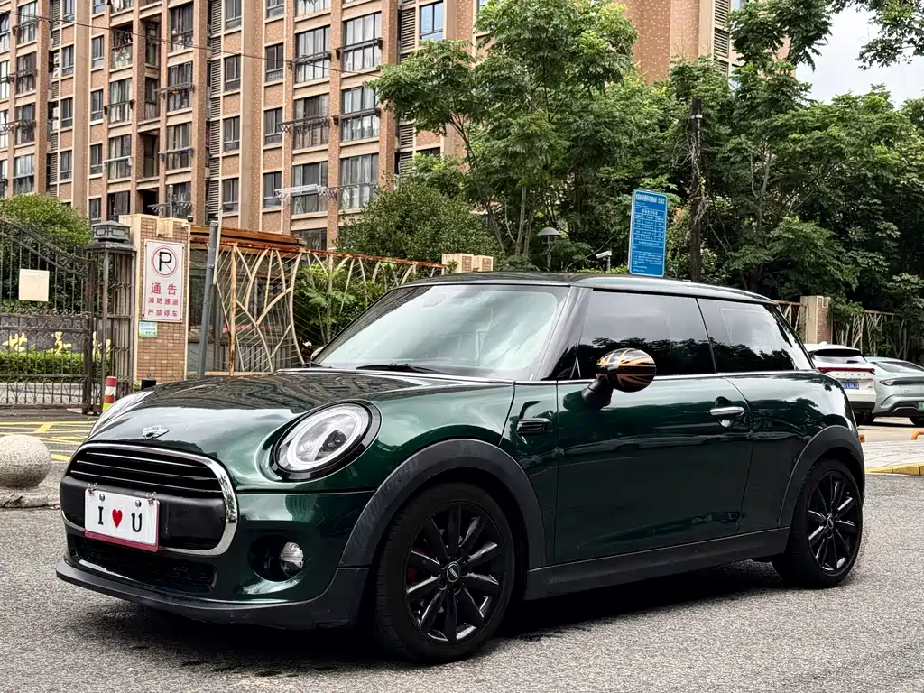 Mini Mini 2015