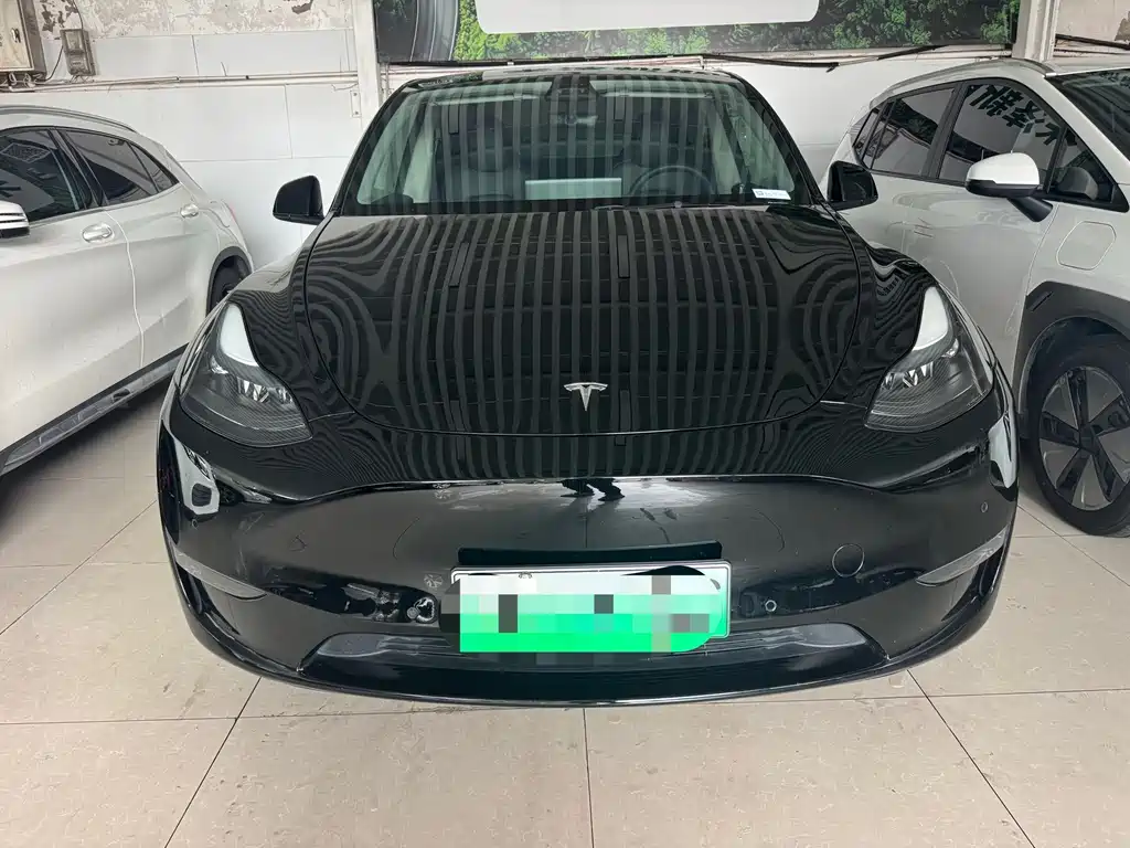 Tesla Model Y — миниатюра 2