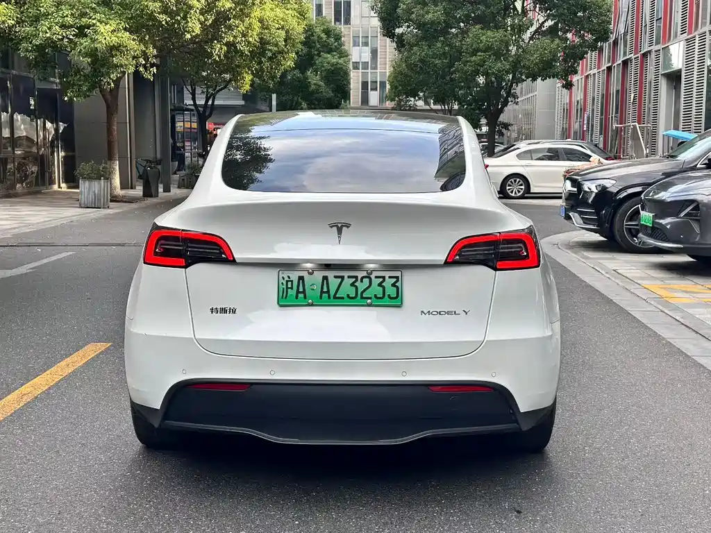 Tesla Model Y — миниатюра 8