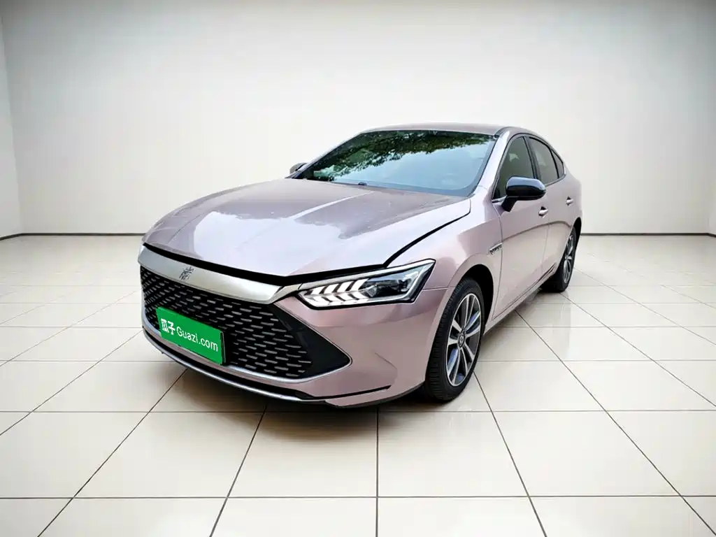 BYD Qin Plus PLUS 2023 Champion DM-i 55KM Lead
