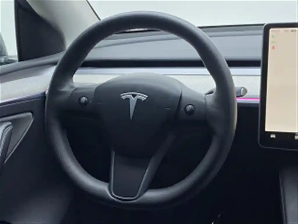 Tesla Model Y — миниатюра 6