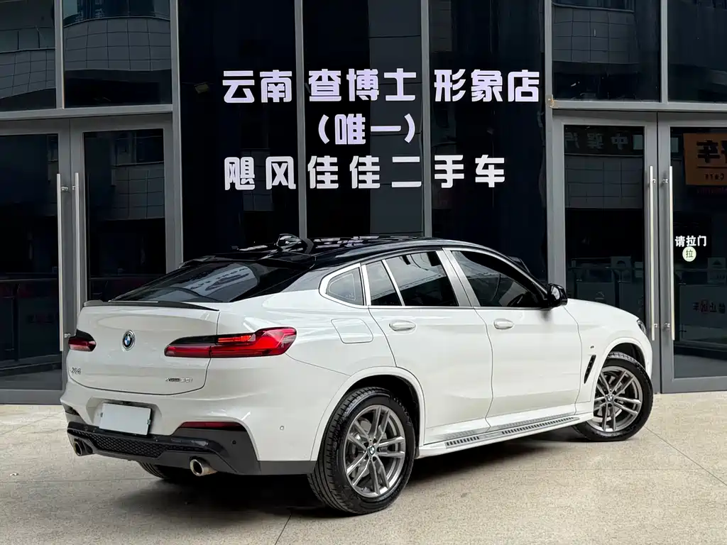 BMW X4 — миниатюра 9