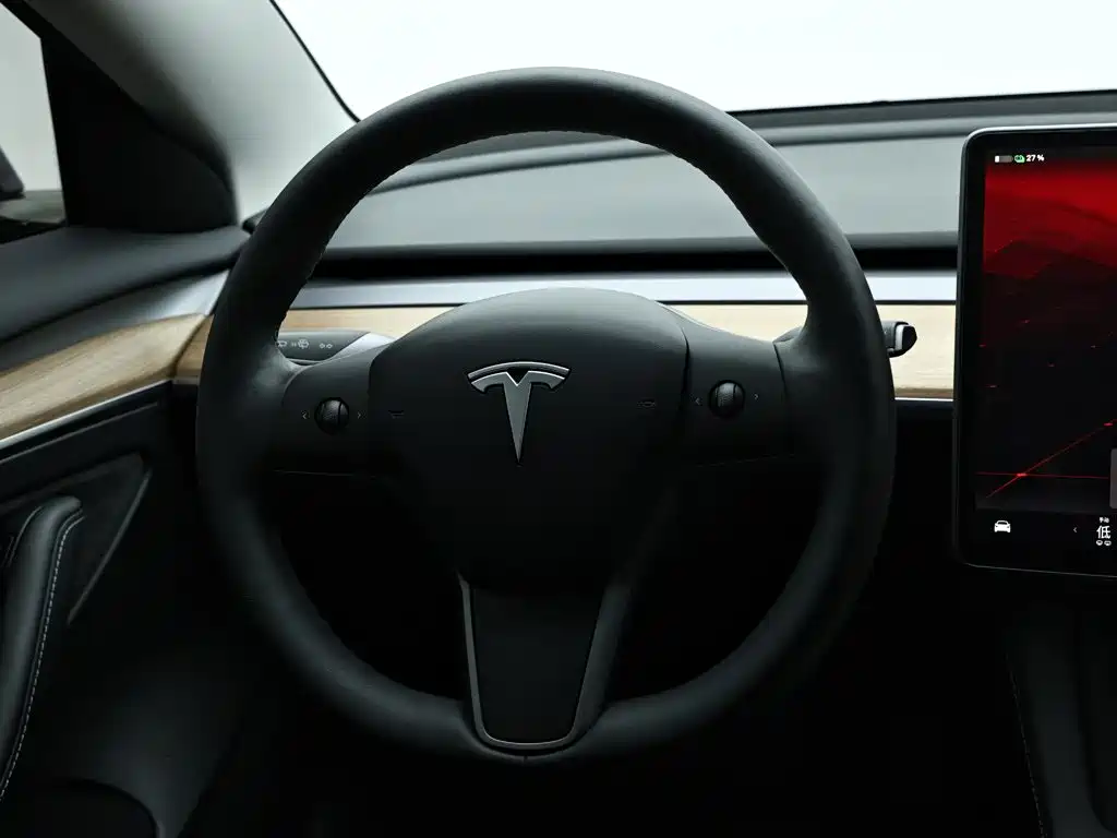 Tesla Model 3 — миниатюра 16