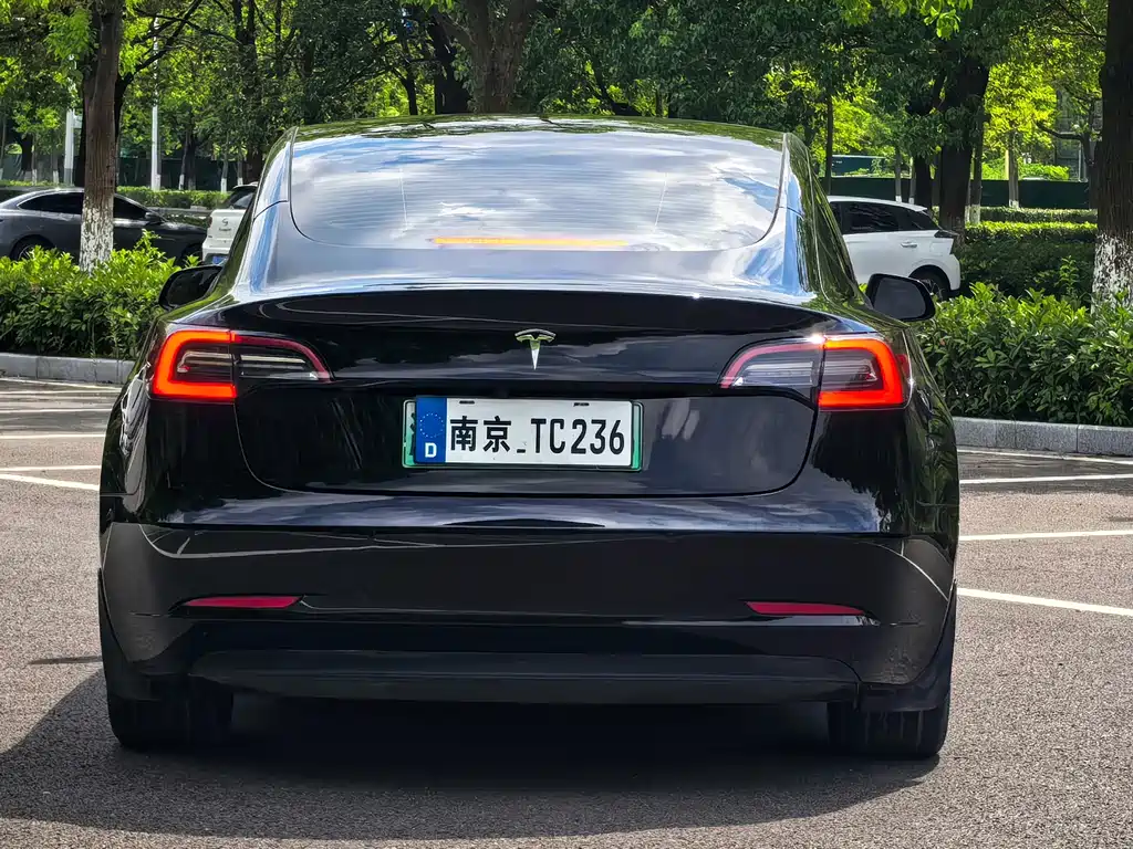 Tesla Model 3 — миниатюра 5