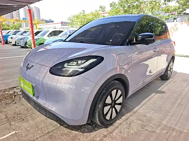 2025 Wuling Motors Binguo