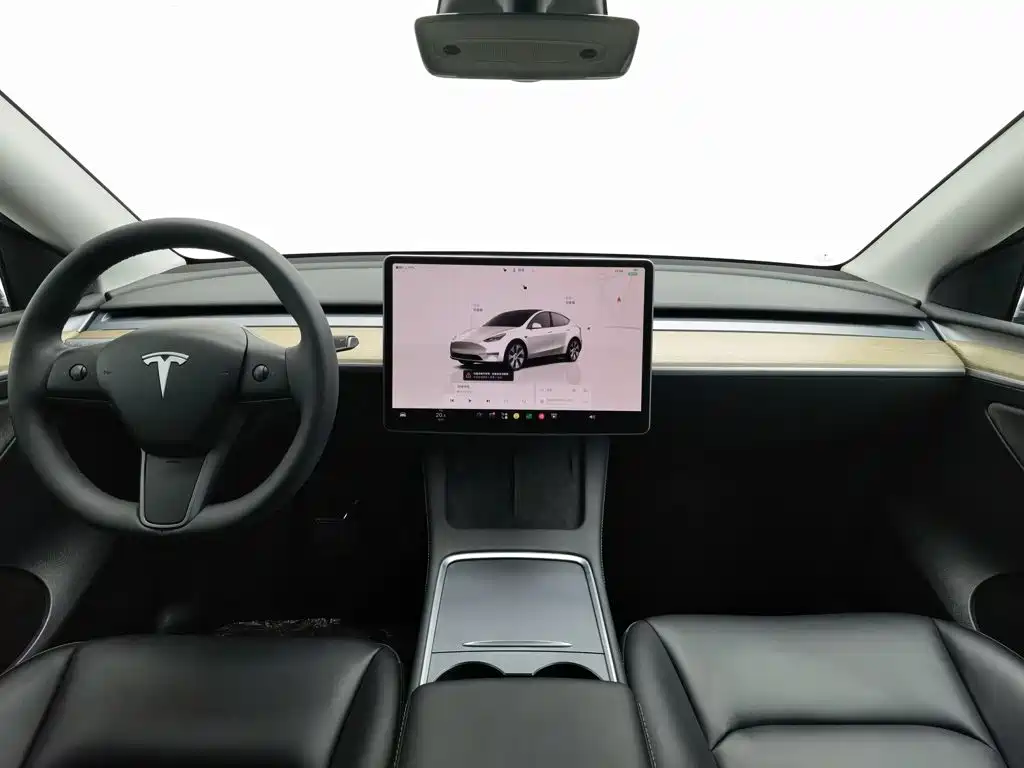 Tesla Model Y — миниатюра 5