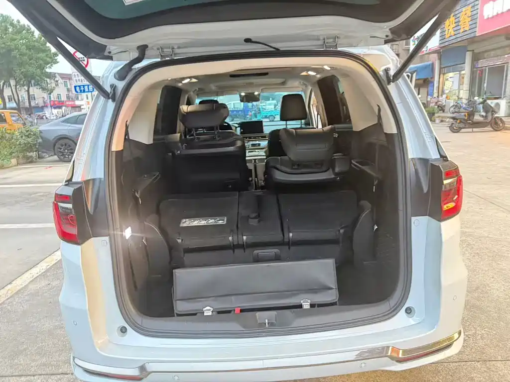 Honda Elysion — миниатюра 7