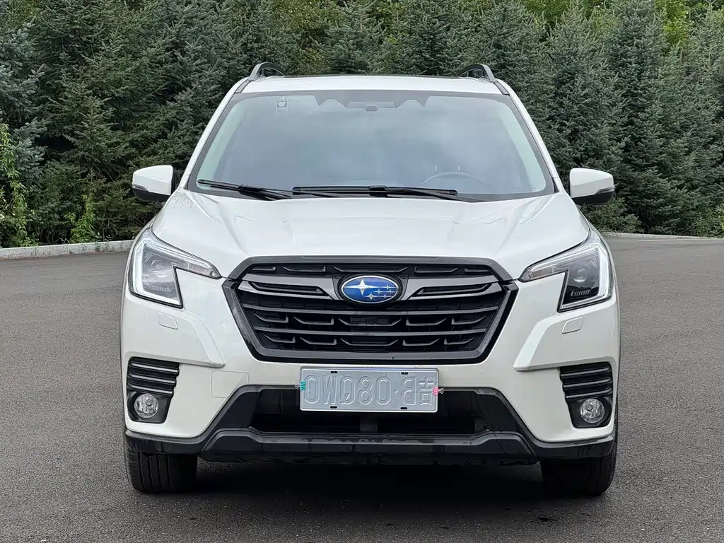 Subaru Forester — миниатюра 2