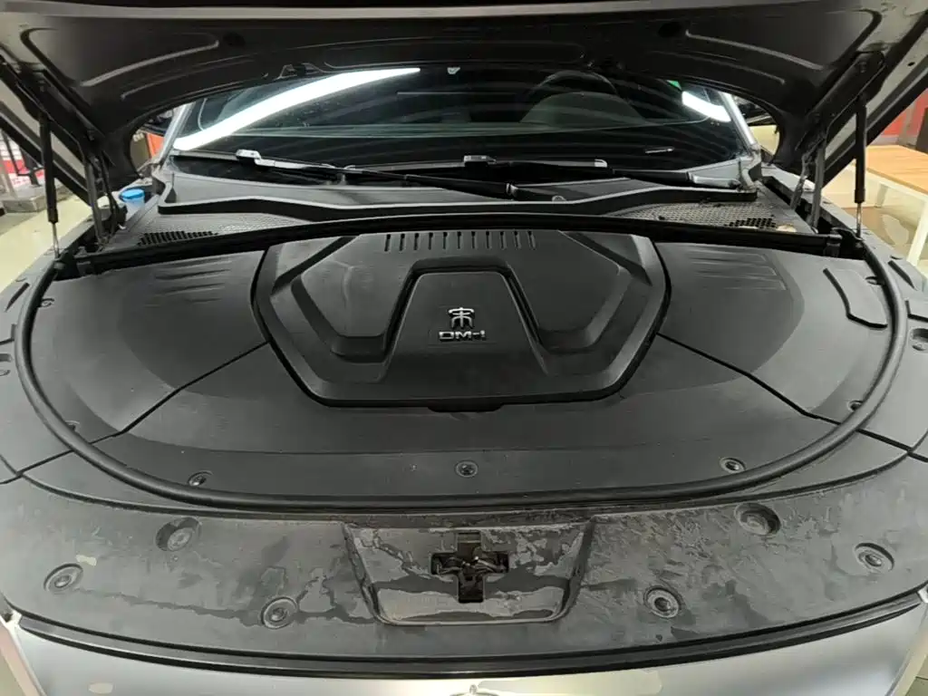BYD PLUS New Energy — миниатюра 20