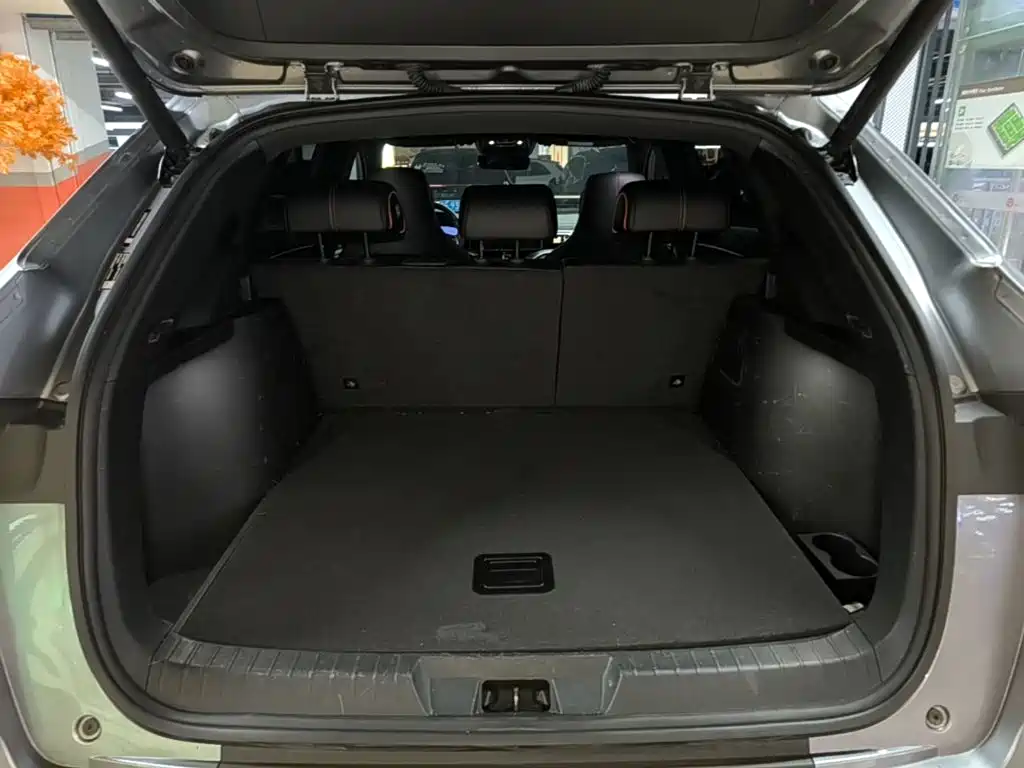 BYD PLUS New Energy — миниатюра 19