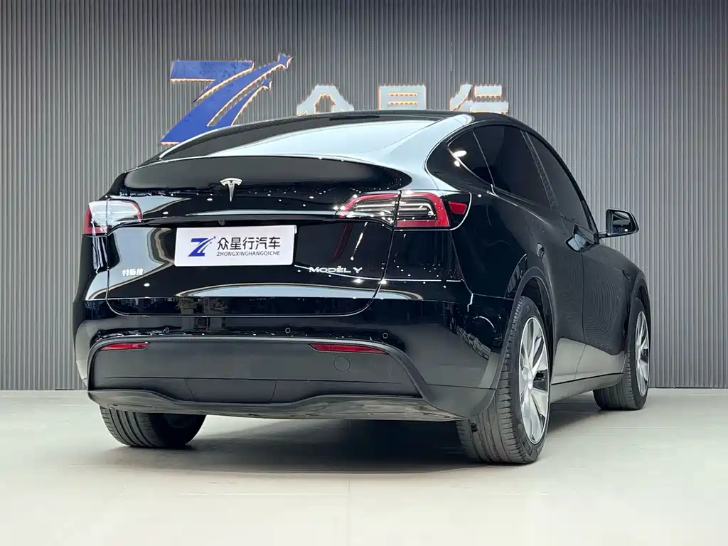 Tesla Model Y — миниатюра 4