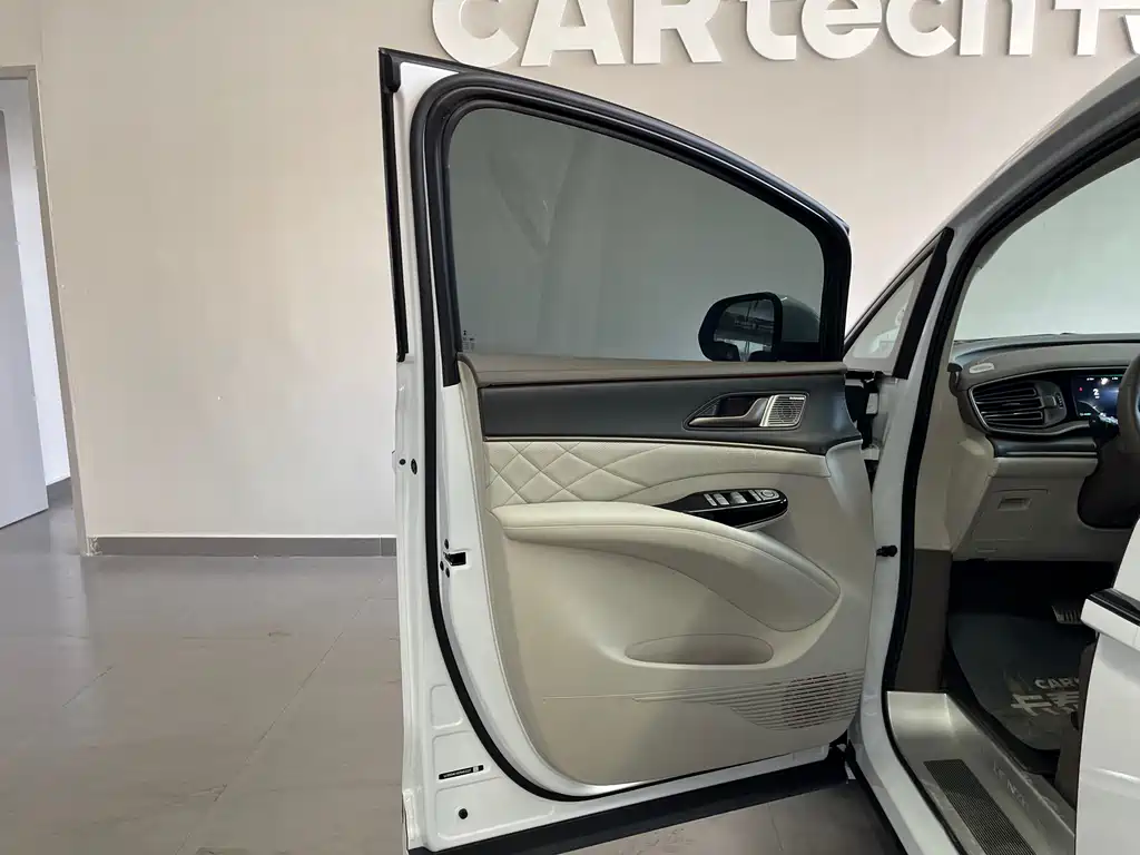 Denza Denza D9 — миниатюра 10
