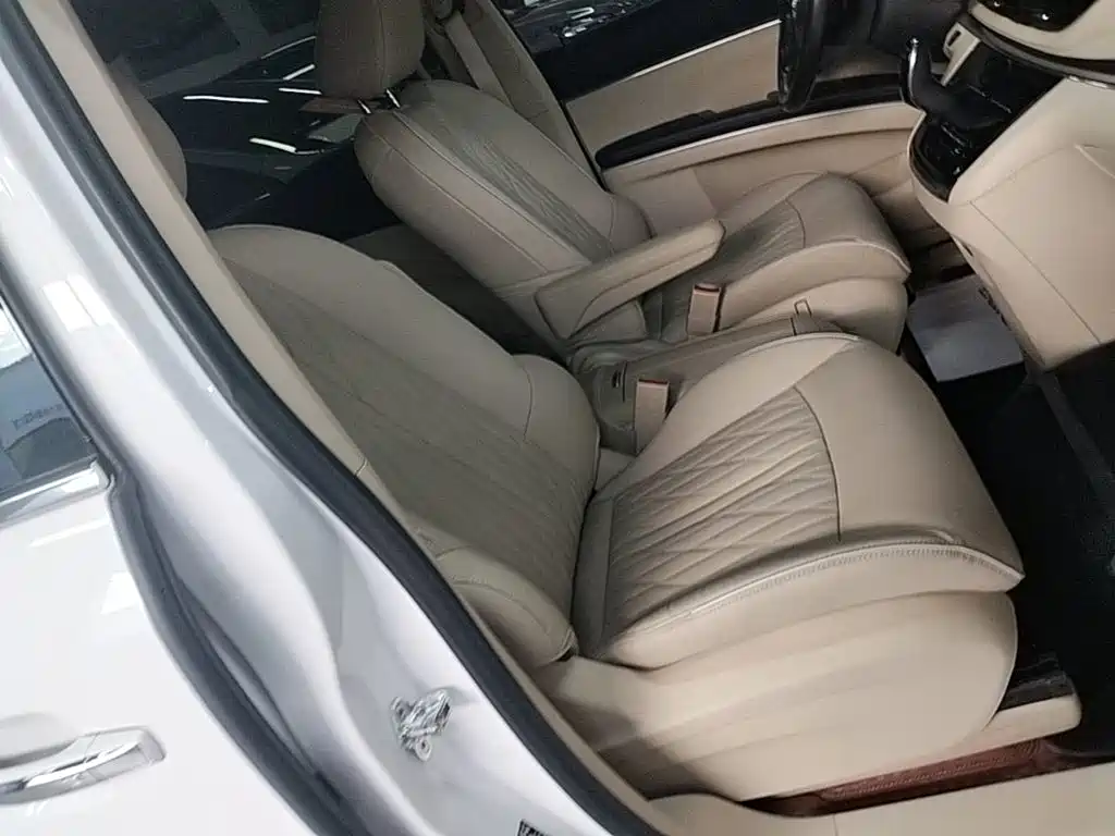 Buick GL8 — миниатюра 25