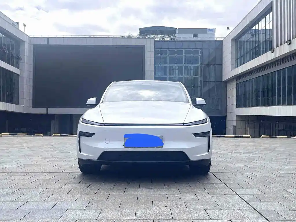 Tesla Model Y — миниатюра 2