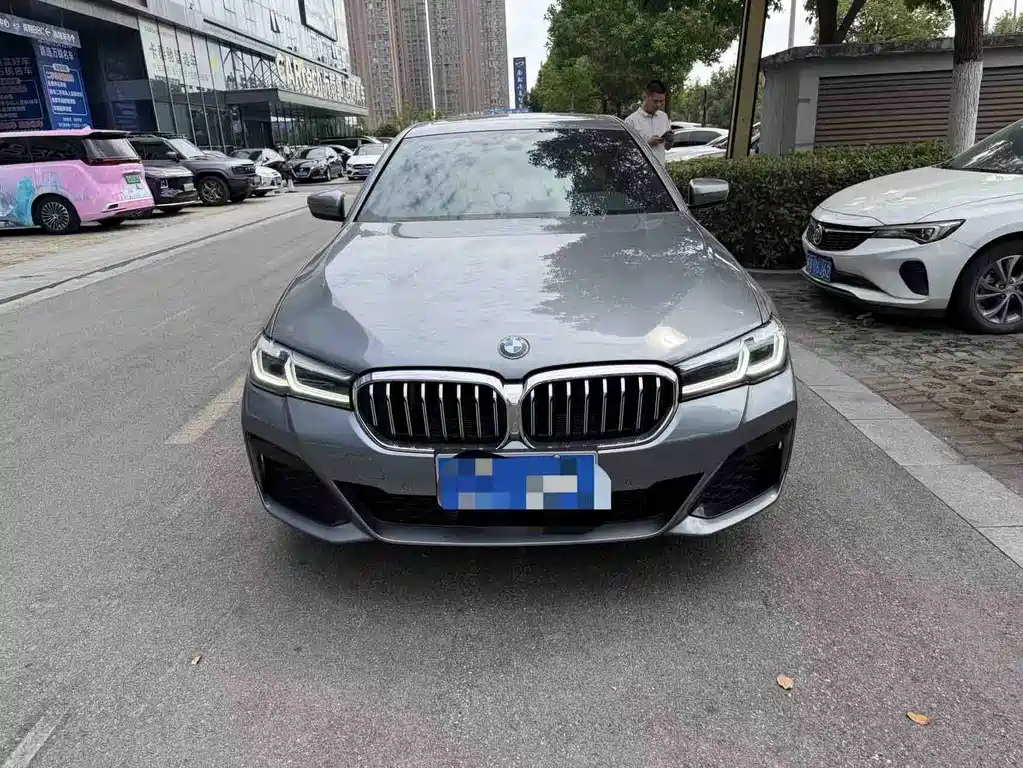 BMW 5 Series (Import) — миниатюра 2