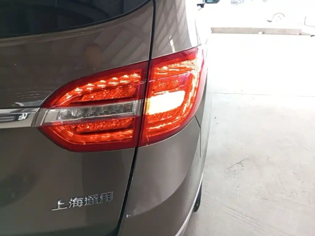 Buick GL8 — миниатюра 8