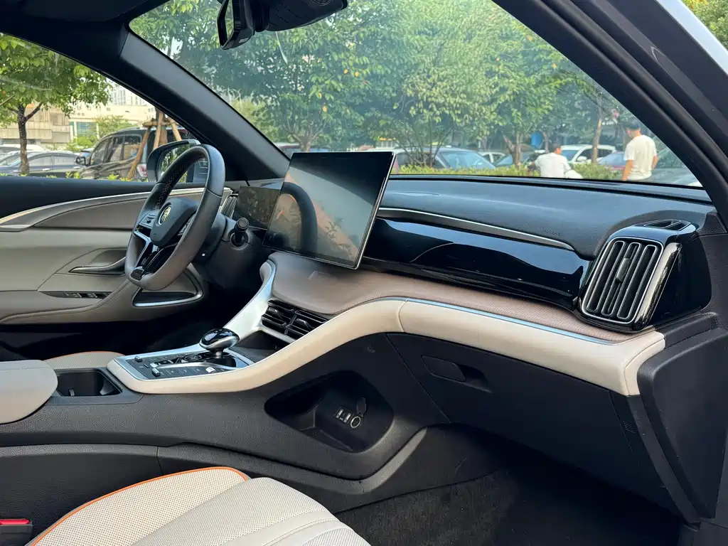 BYD Pro New Energy — миниатюра 15