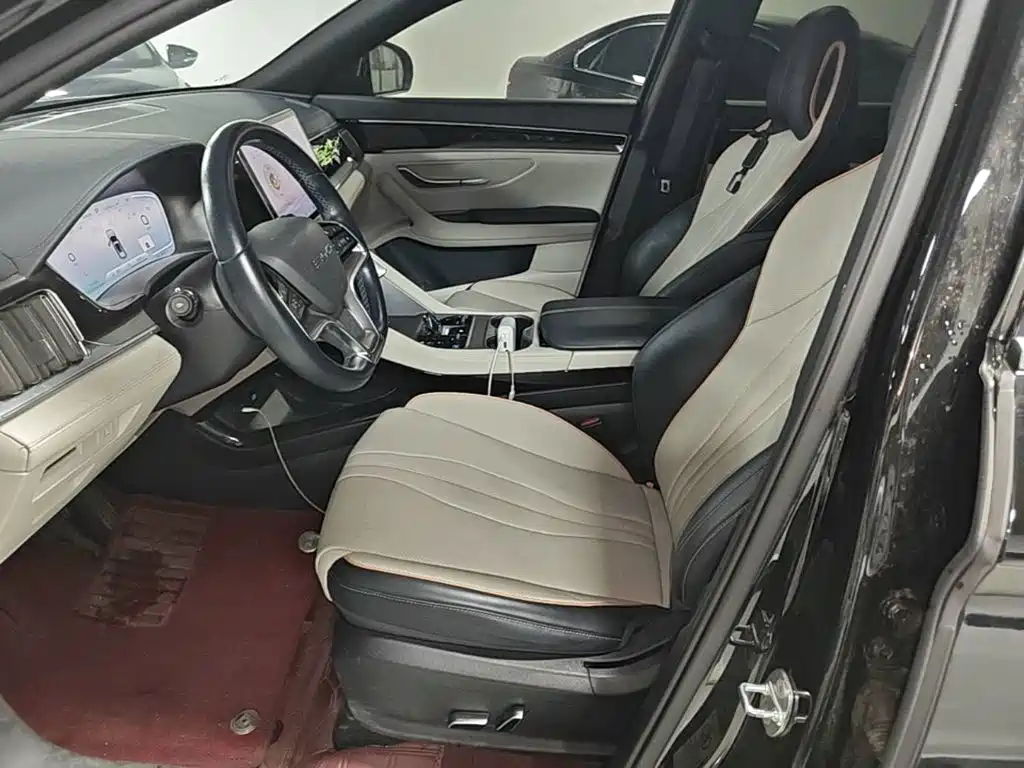 BYD PLUS New Energy — миниатюра 15