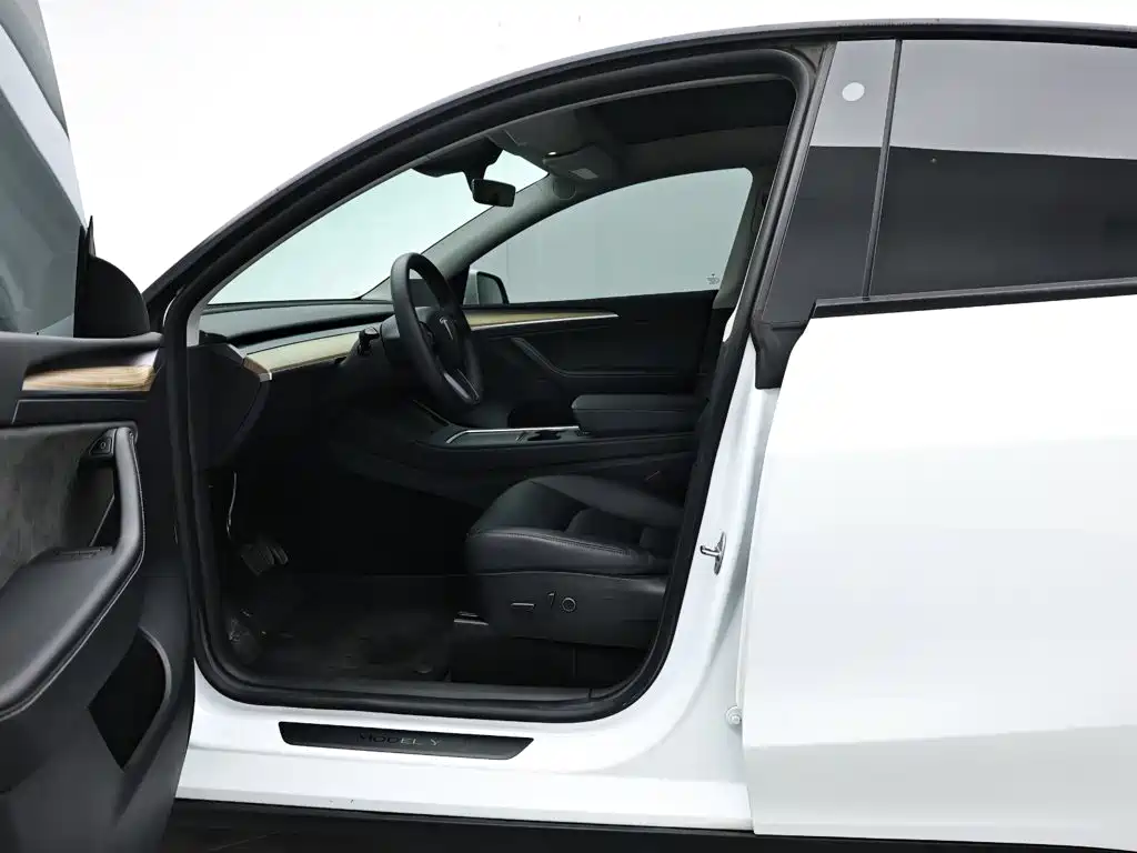 Tesla Model Y — миниатюра 11